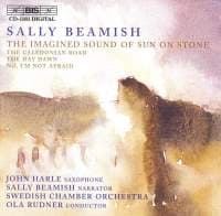 Beamish Sally - Imagined Sound Of Sun. (CD)