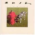 Pikkukuva 1 / 2: Rush - Signals (CD)