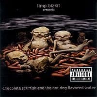 Limp Bizkit - Chocolate Starfish (CD)