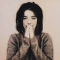 Miniatyrbillede 2 af 2: Bjork - Debut (CD)