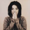 Miniatyrbillede 1 af 2: Bjork - Debut (CD)