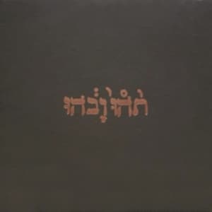 Godspeed You Black Emperor - Slow Riot For New Zero Kanada (CD)