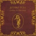 Miniatyrbillede 1 af 2: Jethro Tull - Living In The Past (CD)