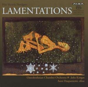 Pehr Henrik Nordgren - Lamentations (CD)
