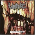 Miniatyrbild 1 av 2: Larvae - Vile Maggot Feast (CD)