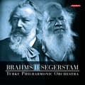 Miniatyrbild 1 av 2: Johannes Brahms Leif Segerstam - Symphonies, Vol. 2 (CD)
