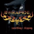 Miniatyrbilde 1 av 2: Bonafide - Somethings Dripping (CD)