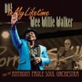 Miniatyrbillede 1 af 2: Walker Wee Willie - Not In My Lifetime (CD)