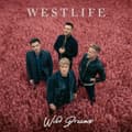 Pikkukuva 1 / 2: WESTLIFE - WILD DREAMS (CD DELUXE) (CD)