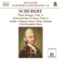 Miniatyrbillede 1 af 2: Schubert - Part Songs 3 For Male Voices (CD)