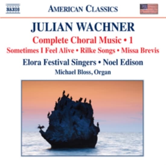 Wachner - Sacred And Secular Chamber Choir Wo (CD)