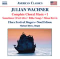 Miniatyrbillede 1 af 2: Wachner - Sacred And Secular Chamber Choir Wo (CD)