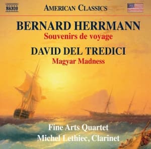 Michel Lethiec Fine Arts Quartet - Souvenirs De Voyage Magyar Madness (CD)