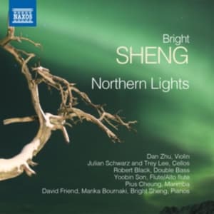 Sheng Bright - Northern Lights (CD)