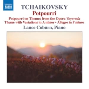 Tchaikovsky Pyotr - Potpourri (CD)