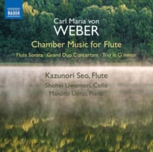Weber C M Von - Chamber Music For Flute (CD)