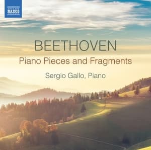 Blandade Artister - Piano Pieces & Fragments