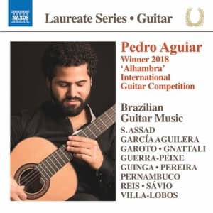 Blandade Artister - Brazilian Guitar Music