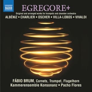 Various - Egregore+ - Original & Arranged Wor (CD)
