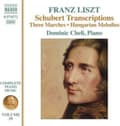 Miniatyrbillede 2 af 2: Liszt Franz - Complete Piano Music, Vol. 59 - Sch (CD)