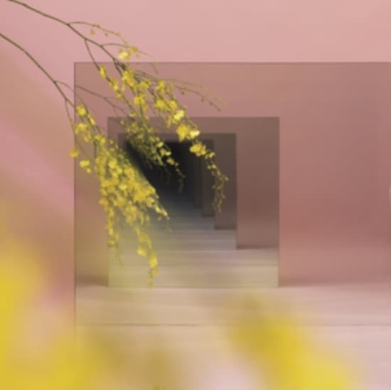 Witxes - Orients (CD)