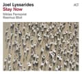 Miniatyrbillede 1 af 2: Lyssarides Joel - Stay Now (CD)