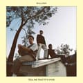 Miniatyrbillede 2 af 2: Wallows - Tell Me That It S Over (CD)