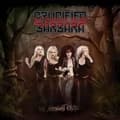 Miniatyrbilde 1 av 2: Crucified Barbara - Midnight Chase (CD)