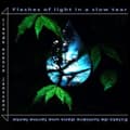 Pikkukuva 1 / 2: Claude Evence Janssens - Flashes Of Light In A Slow Tear (CD)