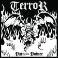 Pikkukuva 1 / 2: Terror - Pain Into Power (CD)