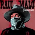 Pikkukuva 1 / 2: Raul Malo - Quarantunes Vol. 1 (CD)