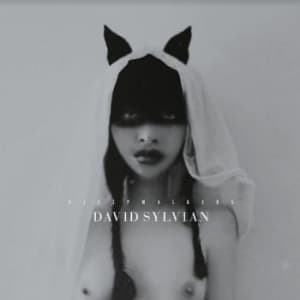 David Sylvian - Sleepwalkers (CD)