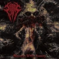 Sijjeel - Salvation Within Insanity (CD)