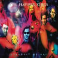 Miniatyrbillede 1 af 2: Flower Kings The - Stardust We Are (Re-Issue 2022) (CD)