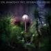 Brandqvist Emil: Entering The Woods (CD)