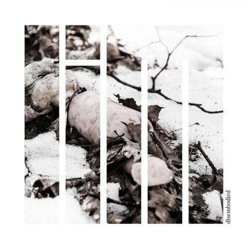 Lim: Disembodied (CD)