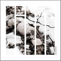 Miniatyrbilde 1 av 2: Lim: Disembodied (CD)