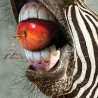 A-Z - A-Z (Digipack) (CD)
