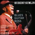 Miniatyrbilde 2 av 2: Sumlin Hubert: Blues Guitar Boss (CD)