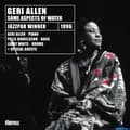 Miniatyrbild 2 av 2: Allen Geri: Some Aspects Of Water (CD)
