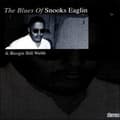 Pikkukuva 1 / 2: Eaglin Snooks/Webb Boogie Bill: The Blues Of (CD)