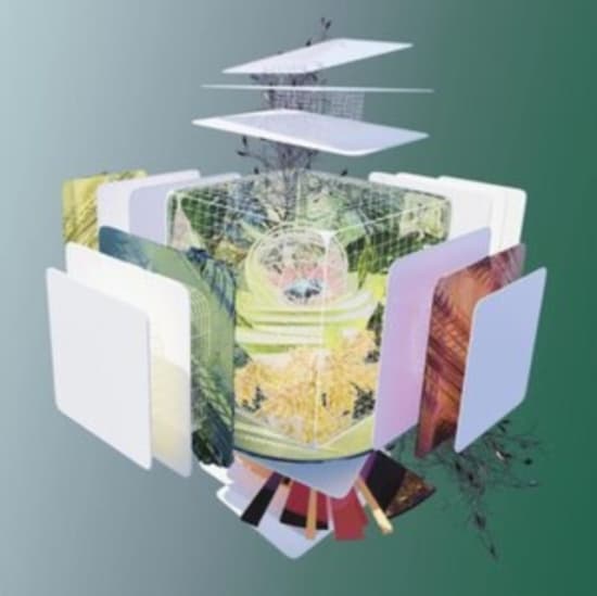 Tomato Flower - Gold Arc/Construction (CD)