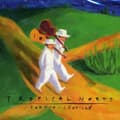 Miniatyrbillede 1 af 2: Fortin & Léveillé - Tropical Norte (CD)