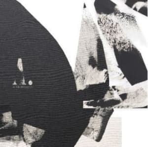 Williams A.A. - As The Moon Rests (CD)