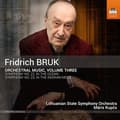 Pikkukuva 2 / 2: Bruk Fridrich - Orchestral Music, Vol. 3 (CD)