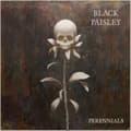 Miniatyrbillede 1 af 2: Black Paisley - Perennials (CD)