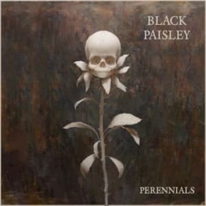Black Paisley - Perennials (CD)
