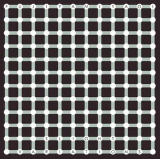 Fujiya & Miyagi - Slight Variations (CD)