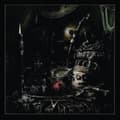 Pikkukuva 2 / 2: Watain - Wild Huny (CD)