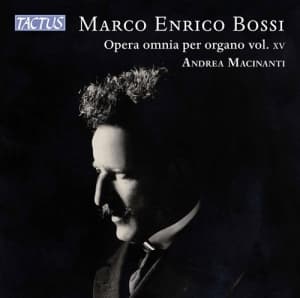 Bossi Marco Enrico - Complete Organ Works, Vol. 15 (CD)